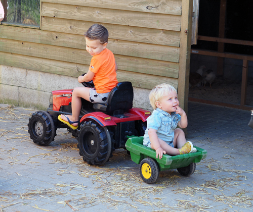 Kinderdagverblijf Koekeloere