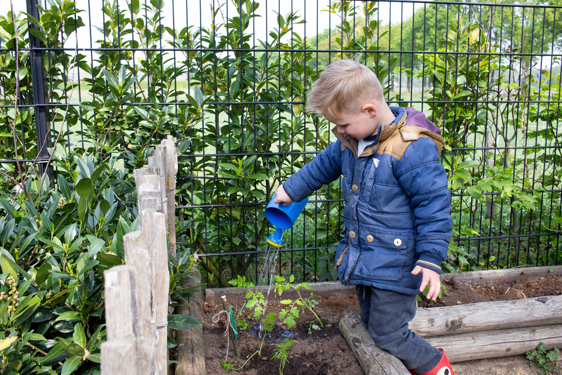 Kinderdagverblijf Koekeloere