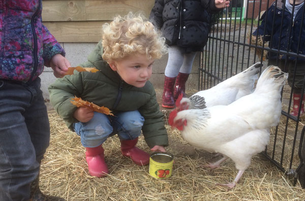 Kinderdagverblijf Koekeloere